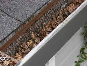 Clogged gutter